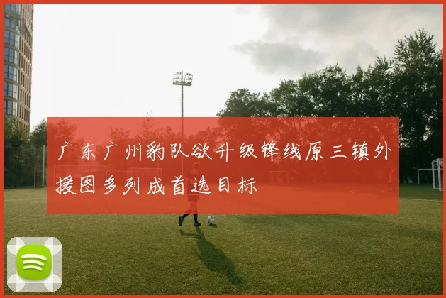 广东广州豹队欲升级锋线原三镇外援图多列成首选目标