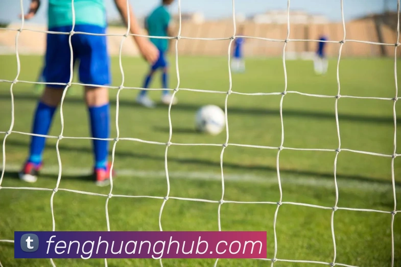 凤凰娱乐官网平台生态图