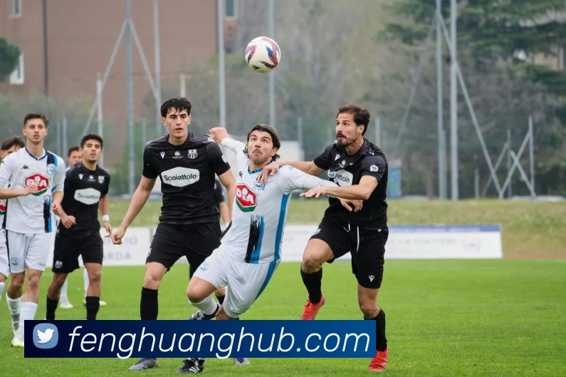 凤凰娱乐官网APP 封面图